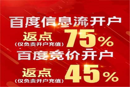 百度推广费用投入与用户转化路径的优化案例